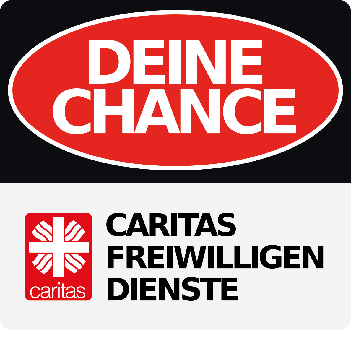 Logo Caritas-Freiwilligendienste