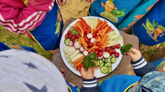 Kinder der KiTa für Alle im Inklusiven Campus Duderstadt lernen, wie Gemüse angebaut wird.