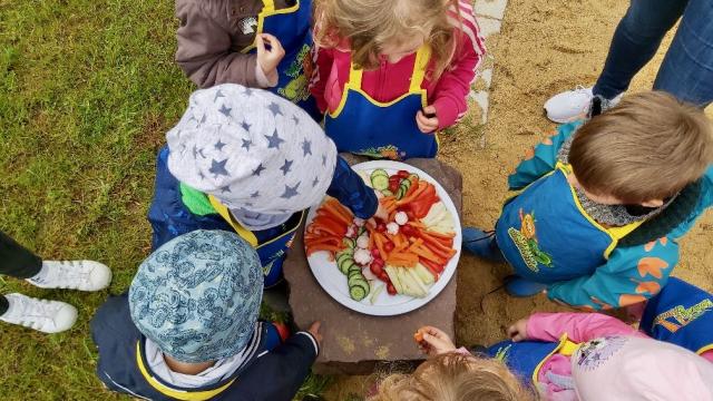 Kinder der KiTa für Alle im Inklusiven Campus Duderstadt lernen, wie Gemüse angebaut wird.