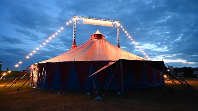 Der Kinder- und Jugendzirkus Dobbelino kommt mit einer Akrobatik-Woche vom 21. bis 26. Juli 2025 nach Duderstadt  Fotocredit: Zirkus Dobbelino 